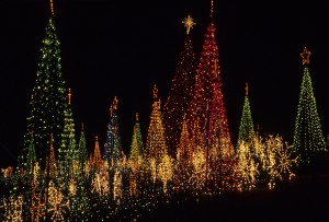 Life U. Christmas Lights